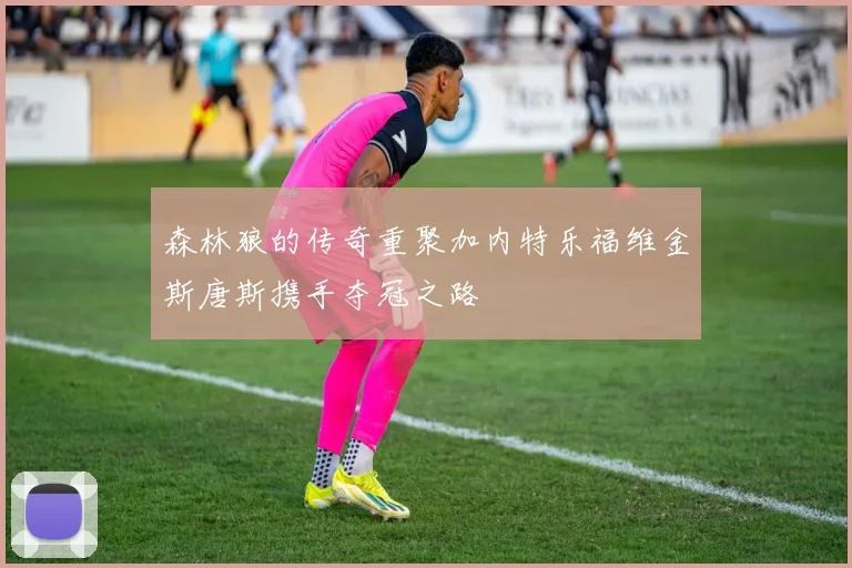 森林狼的传奇重聚加内特乐福维金斯唐斯携手夺冠之路